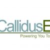 Callidus Electric logo | Las Vegas & Henderson